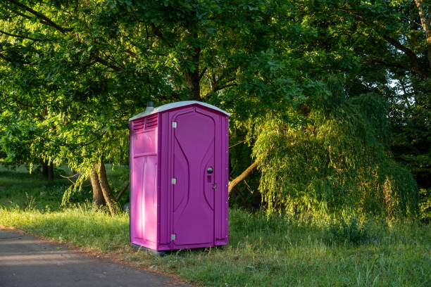 Best Sanitation services for porta potties  in Buhl, ID